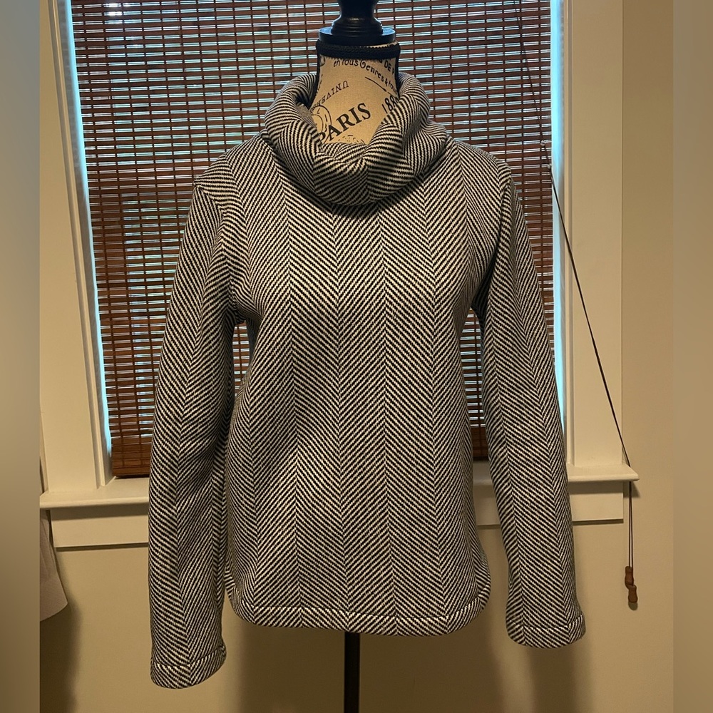 J. Crew Turtle Neck Sweater